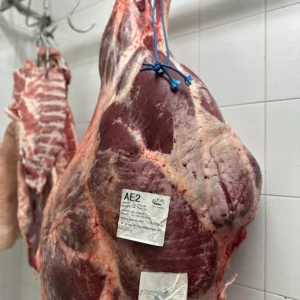 Coscia in cella frigo della Macelleria Carni Sabatini