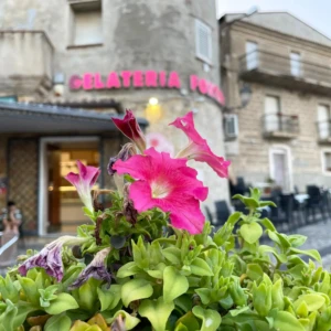 Entrata Antica Gelateria Fortino con primo piano fiore