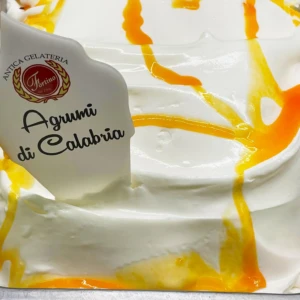 Gusto agrumi di Calabria Antica Gelateria Fortino