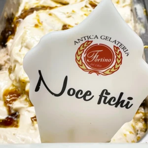 Gusto noce fichi Antica Gelateria Fortino