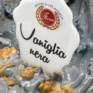 Gusto vaniglia nera Antica Gelateria Fortino