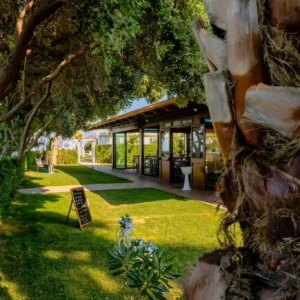 Prato esterno fuori dal ristorante al Magic Beach