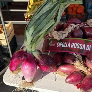 Cipolla rossa Supermercato Margherita