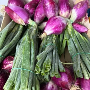 Cipolla rossa Supermercato Margherita